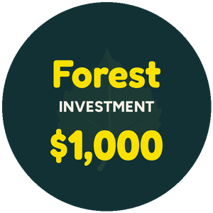 Forest Level Sponsor – $1,000