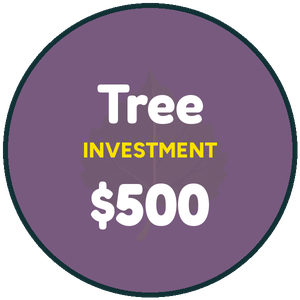 Tree Level Sponsor – $500